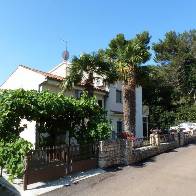 Apartments Samsa (Croatian)